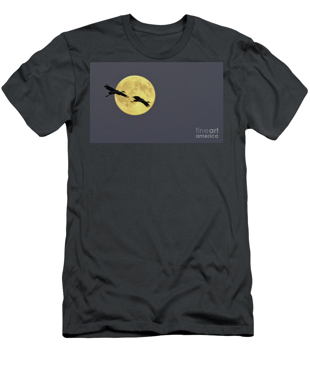 Sandhill Cranes T-Shirt featuring the photograph Moonlight Flight by Jan Killian