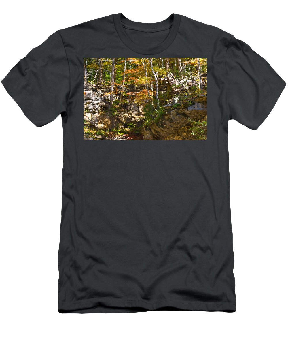 Branches T-Shirt featuring the photograph Forest Above the Cave by Ed Gleichman