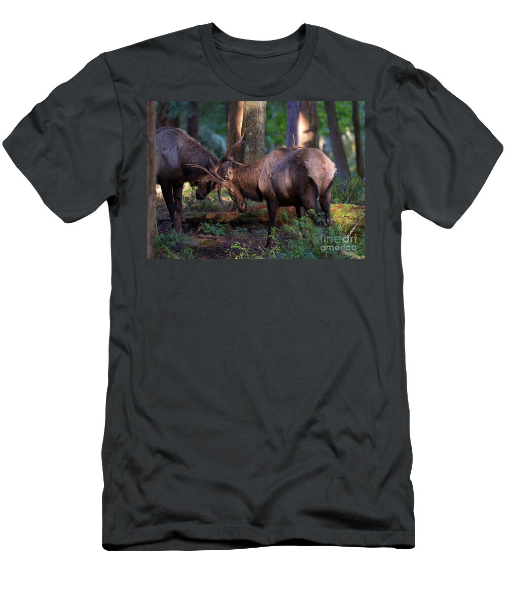 Bulls T-Shirt featuring the photograph Forest Battle by Michael Dawson