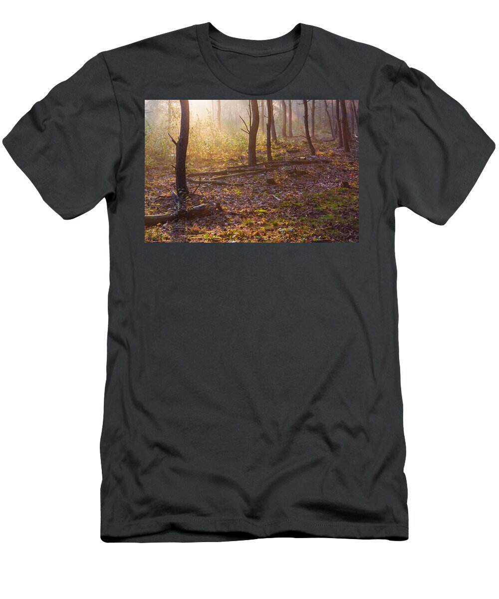 Darkness T-Shirt featuring the photograph Forest Sunlight by Semmick Photo