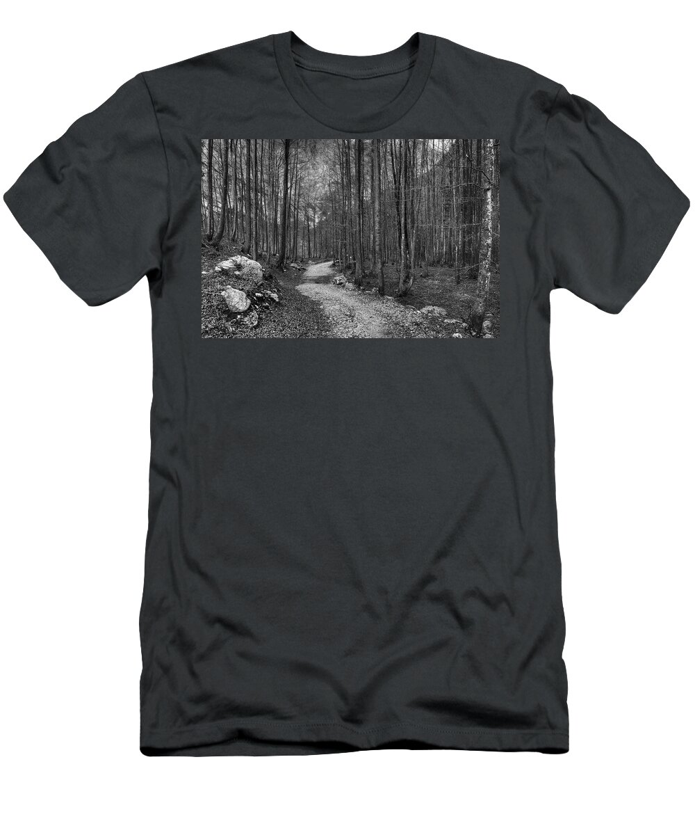 Autumn T-Shirt featuring the photograph Forest trail BW by Ivan Slosar