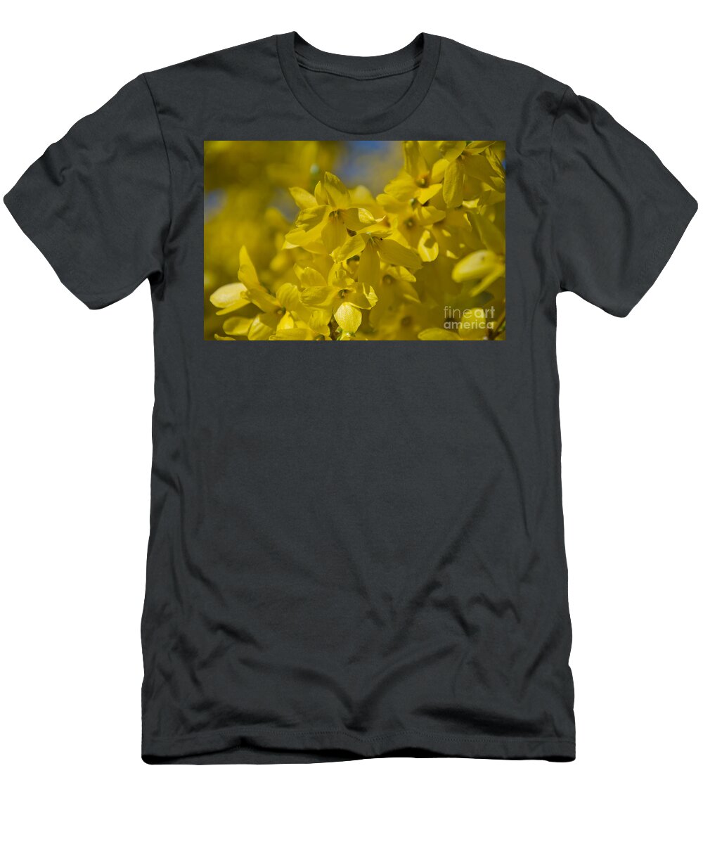 Forsythia T-Shirt featuring the photograph Forsythia by Laurel Best