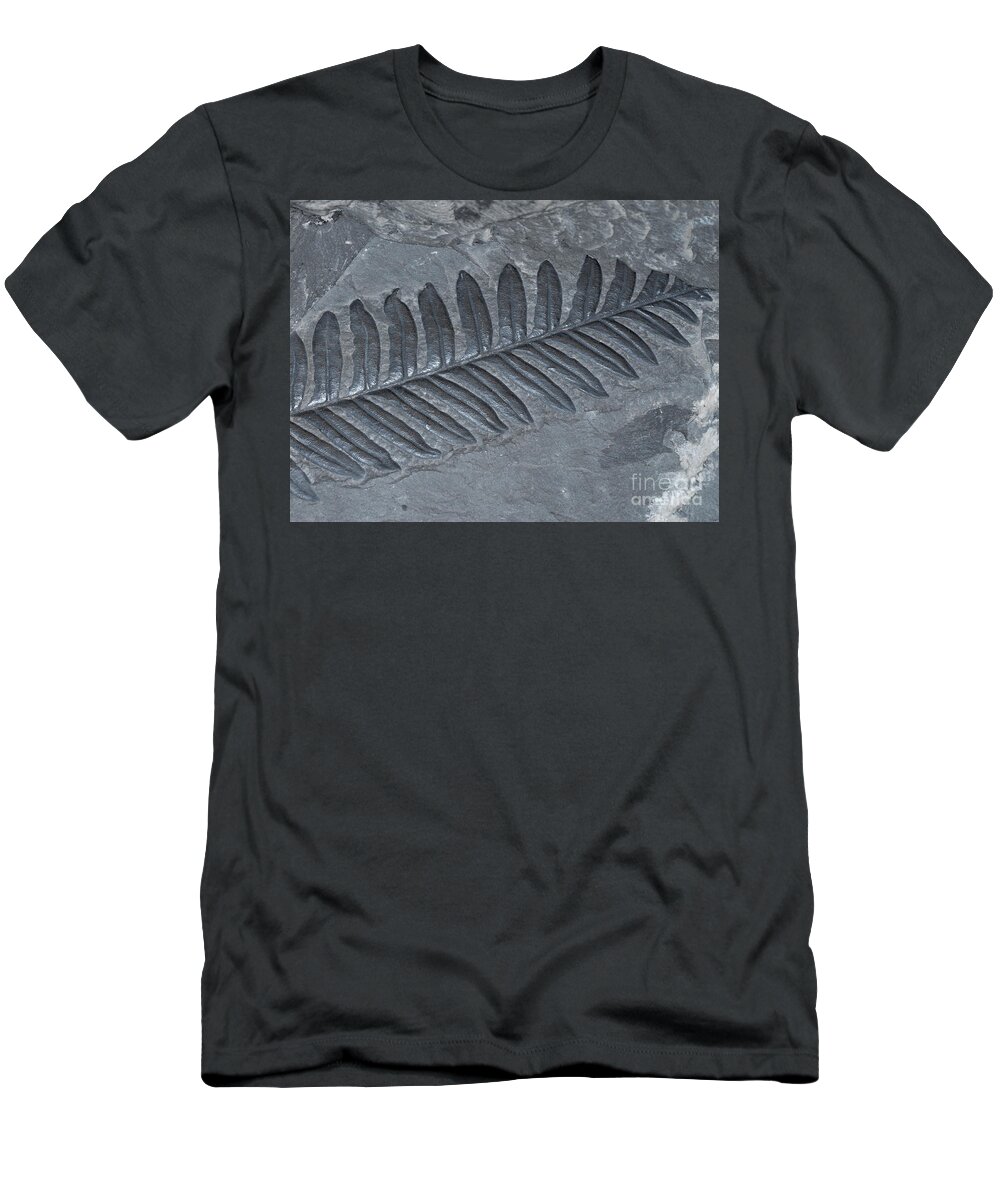 Alethopteris T-Shirt featuring the photograph Fossilized Fern by Scott Camazine