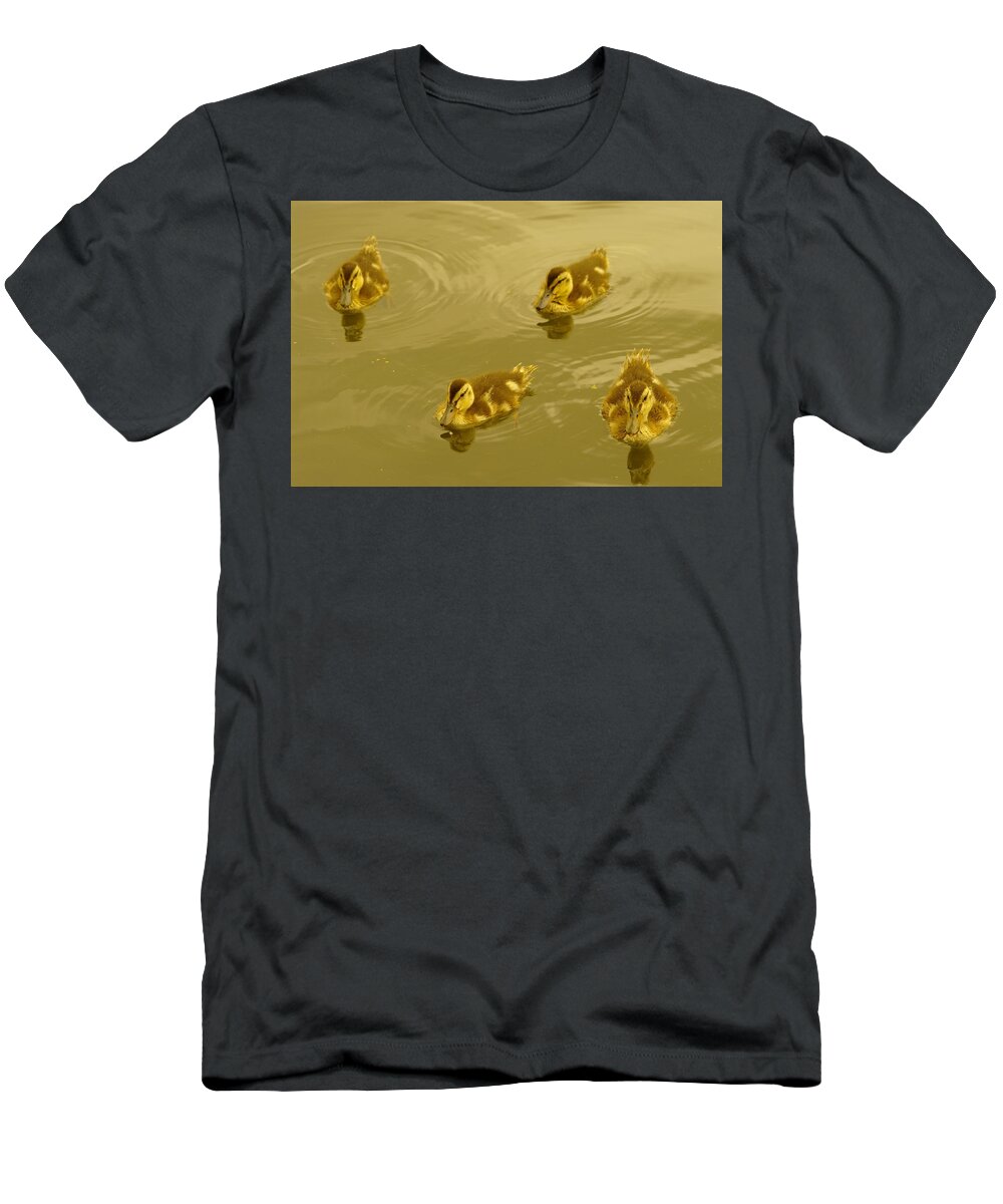 Ducks T-Shirt featuring the photograph Four Duckies by Jeff Swan