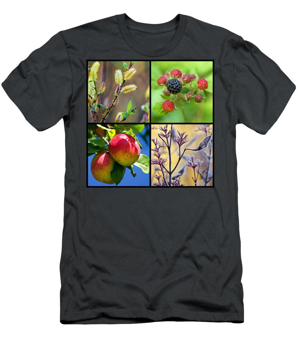 Plants T-Shirt featuring the photograph Seasonal Plants Square by Christina Rollo