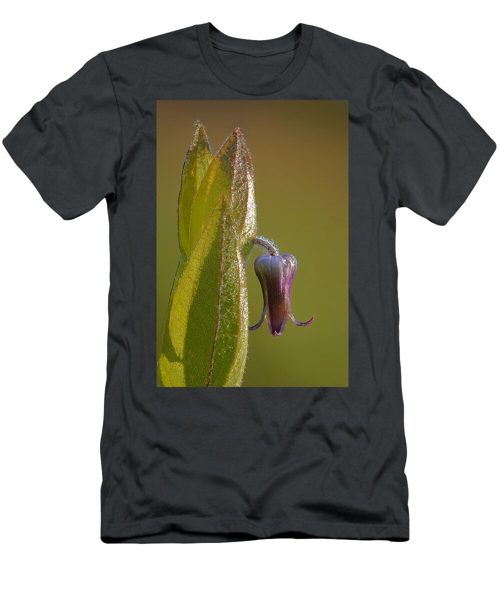 2011 T-Shirt featuring the photograph Fremont's Leather Flower by Robert Charity