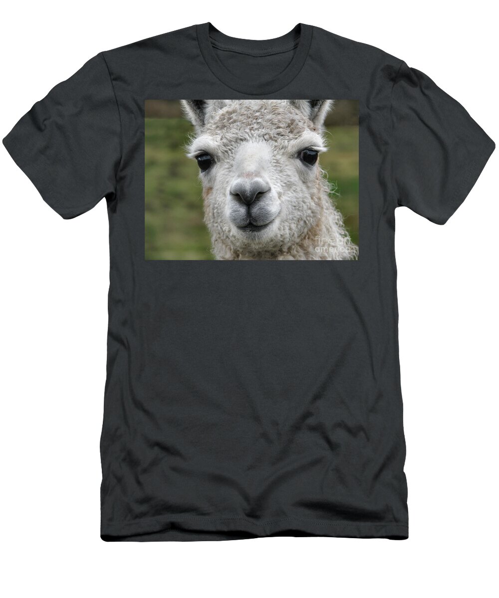 Llama T-Shirt featuring the photograph Friends From The Field by Rory Siegel
