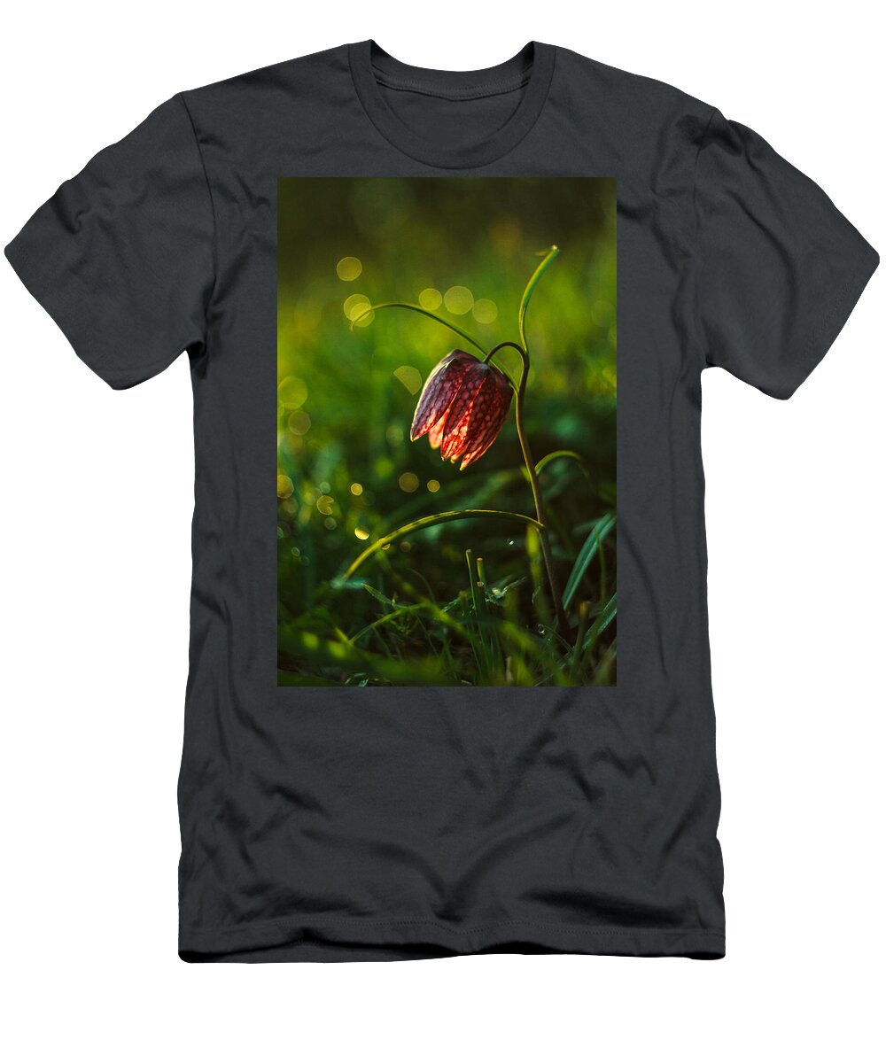 Flower T-Shirt featuring the photograph Fritillaria meleagris by Davorin Mance