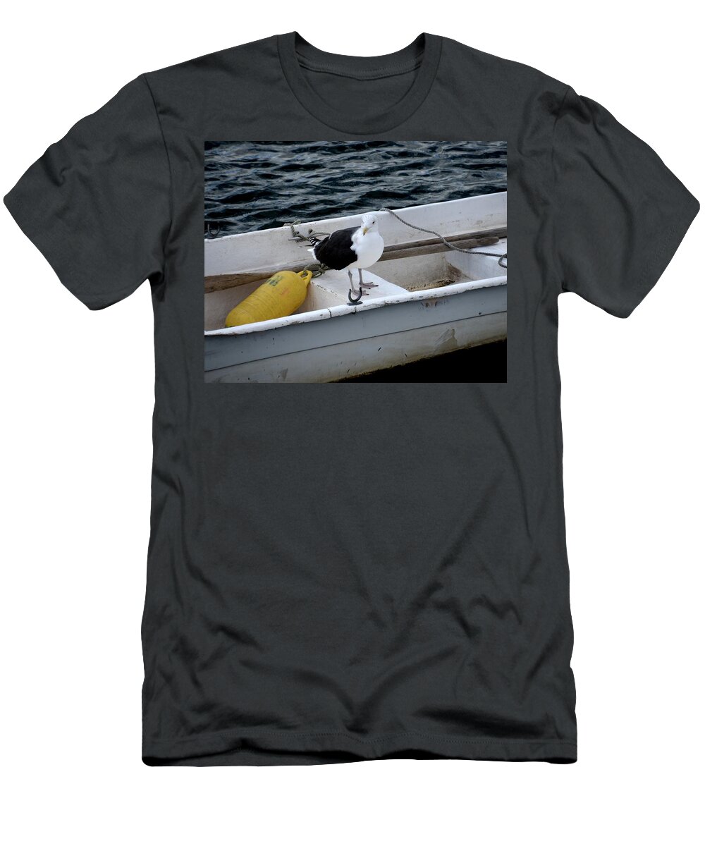 Rockport T-Shirt featuring the photograph From Rockport MA A seagull chilling out in a rowboat by Toby McGuire