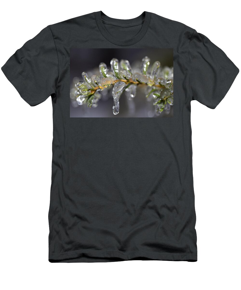 Yew T-Shirt featuring the photograph Frozen Yew by Eunice Gibb