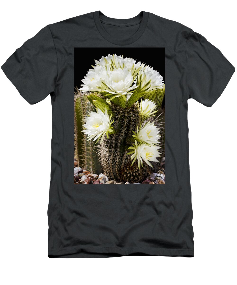 Full Bloom T-Shirt featuring the photograph Full Bloom by Kelley King