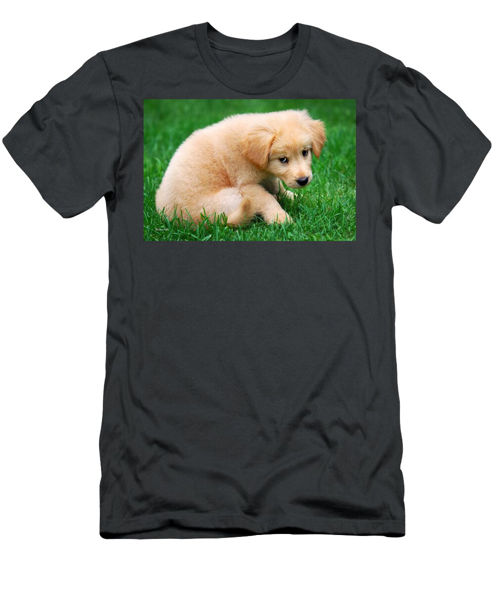 Puppy T-Shirt featuring the photograph Fuzzy Golden Puppy by Christina Rollo