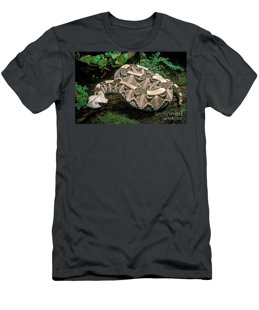 Gaboon Viper T-Shirt featuring the photograph Gaboon Viper by ER Degginger