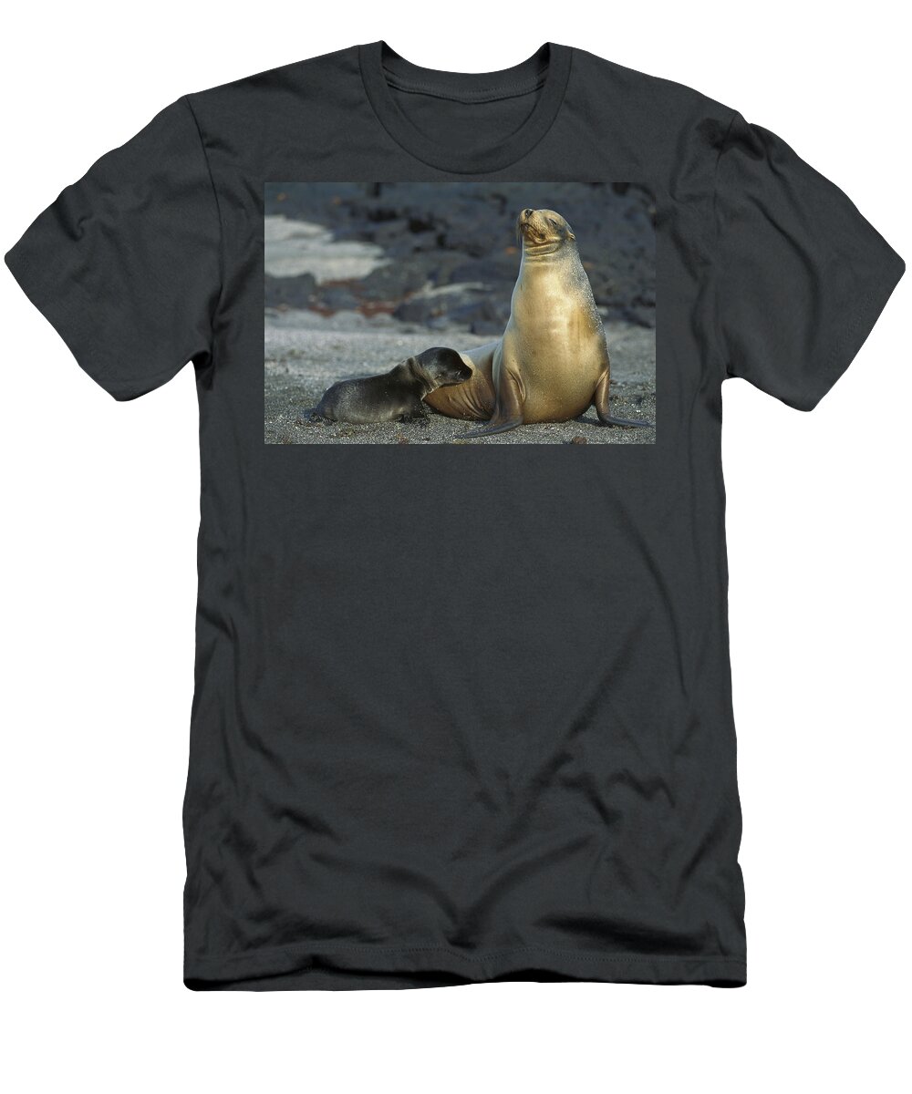 Feb0514 T-Shirt featuring the photograph Galapagos Sea Lion Nursing Newborn by Tui De Roy