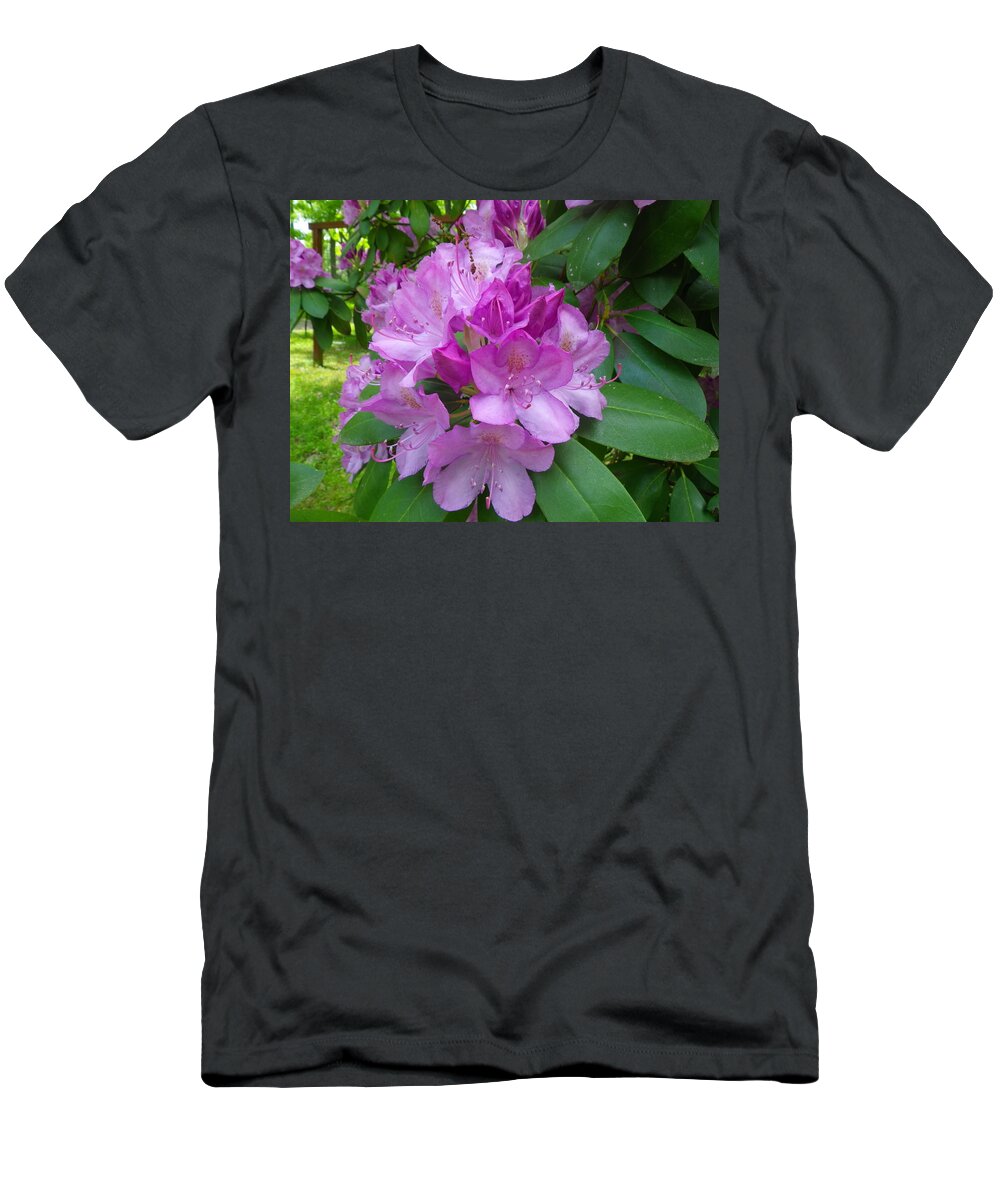 Pink T-Shirt featuring the photograph Garden Beauty by Anna Ruzsan