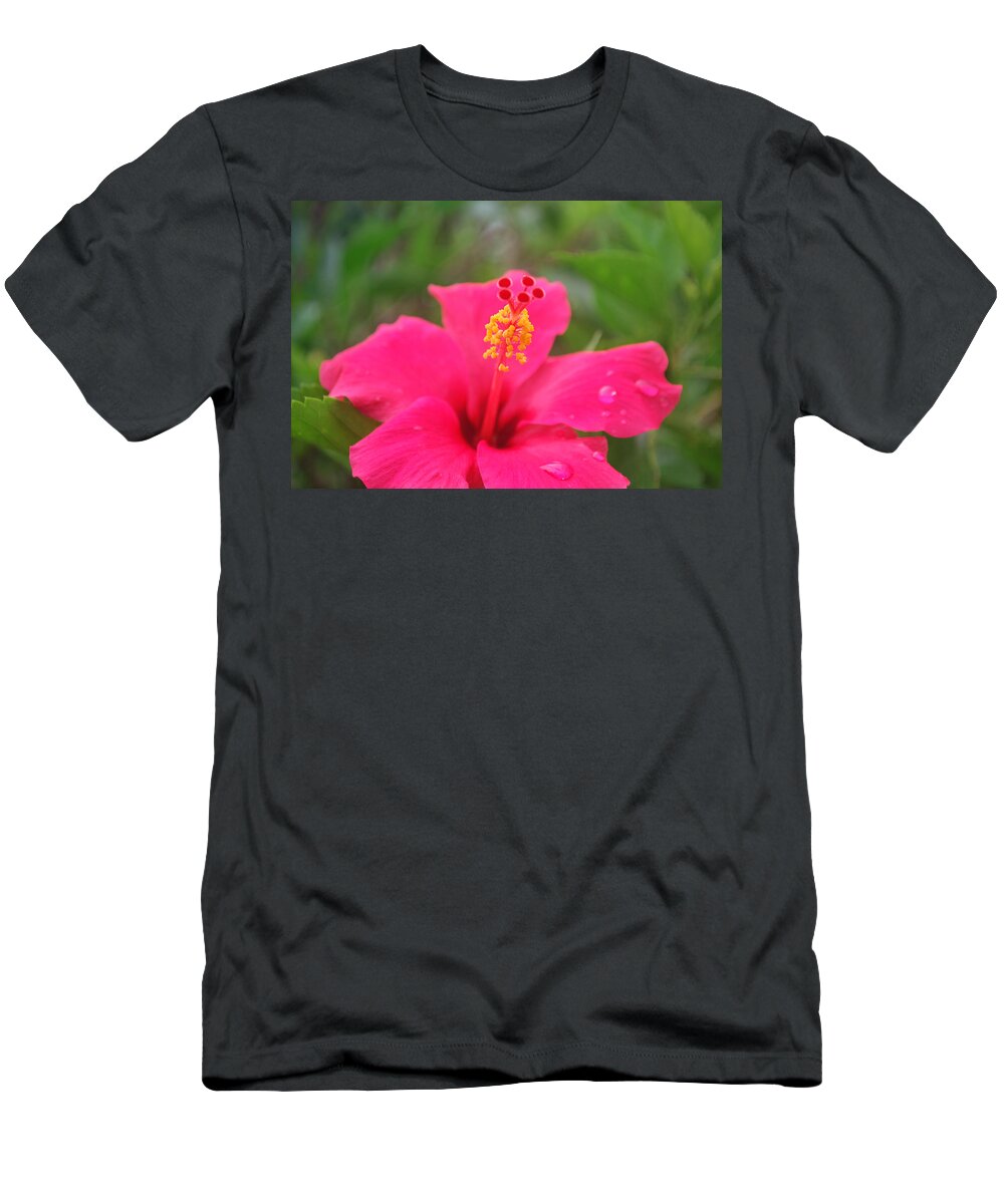 Garden T-Shirt featuring the photograph Garden Rains by Miguel Winterpacht