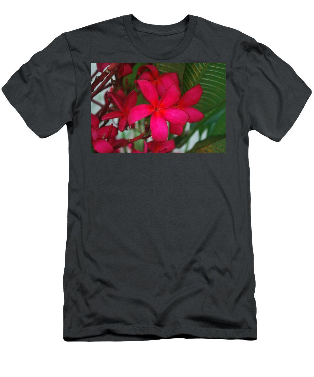 Garden T-Shirt featuring the photograph Garden Treasures by Miguel Winterpacht