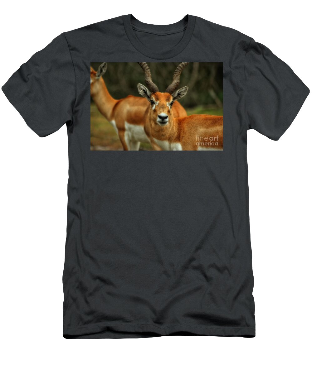 Gazelle T-Shirt featuring the photograph Gazelle by Doc Braham