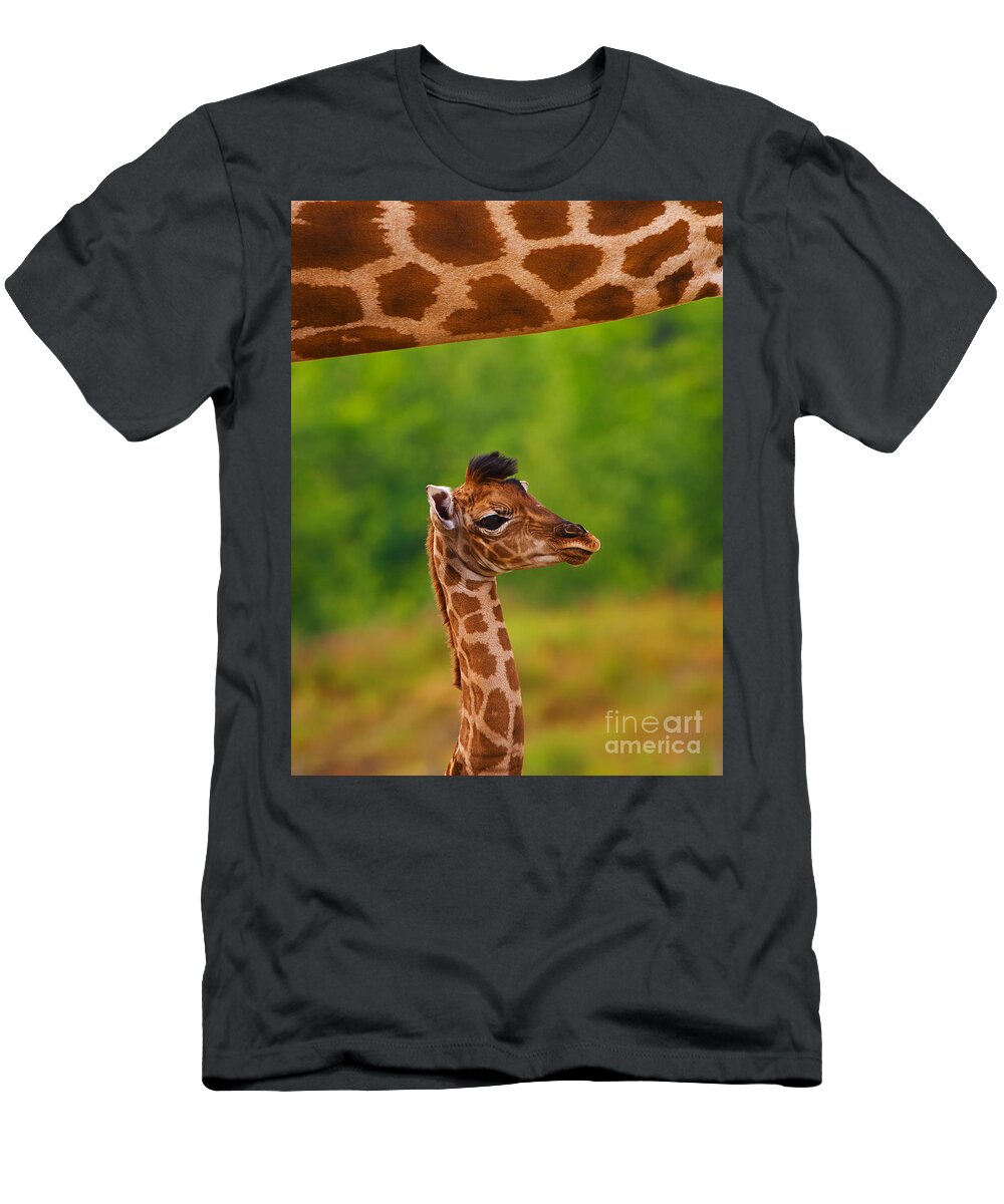 Africa T-Shirt featuring the photograph Giraffe calf below the neck of her mother II by Nick Biemans
