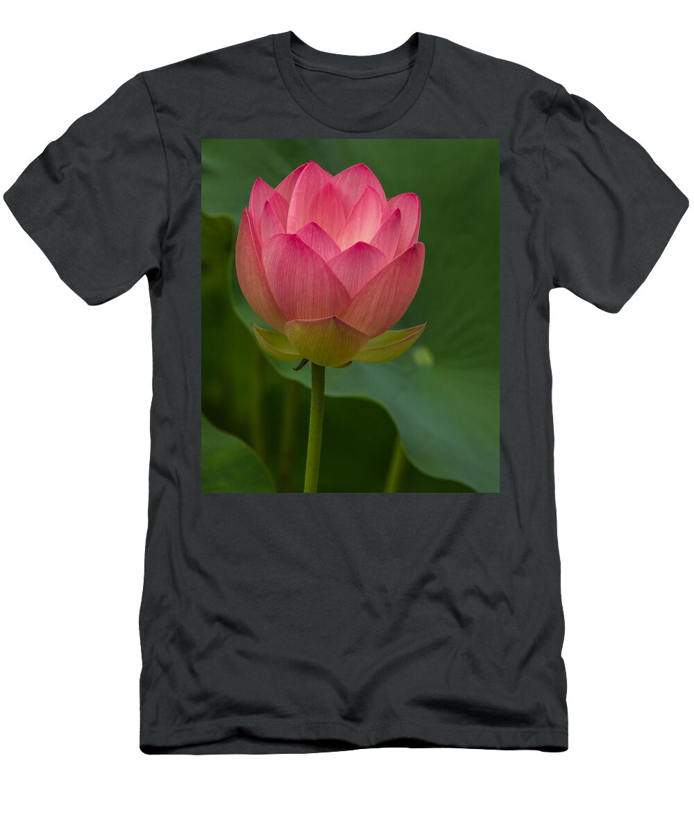 Florida T-Shirt featuring the photograph Glowing lotus by Jane Luxton