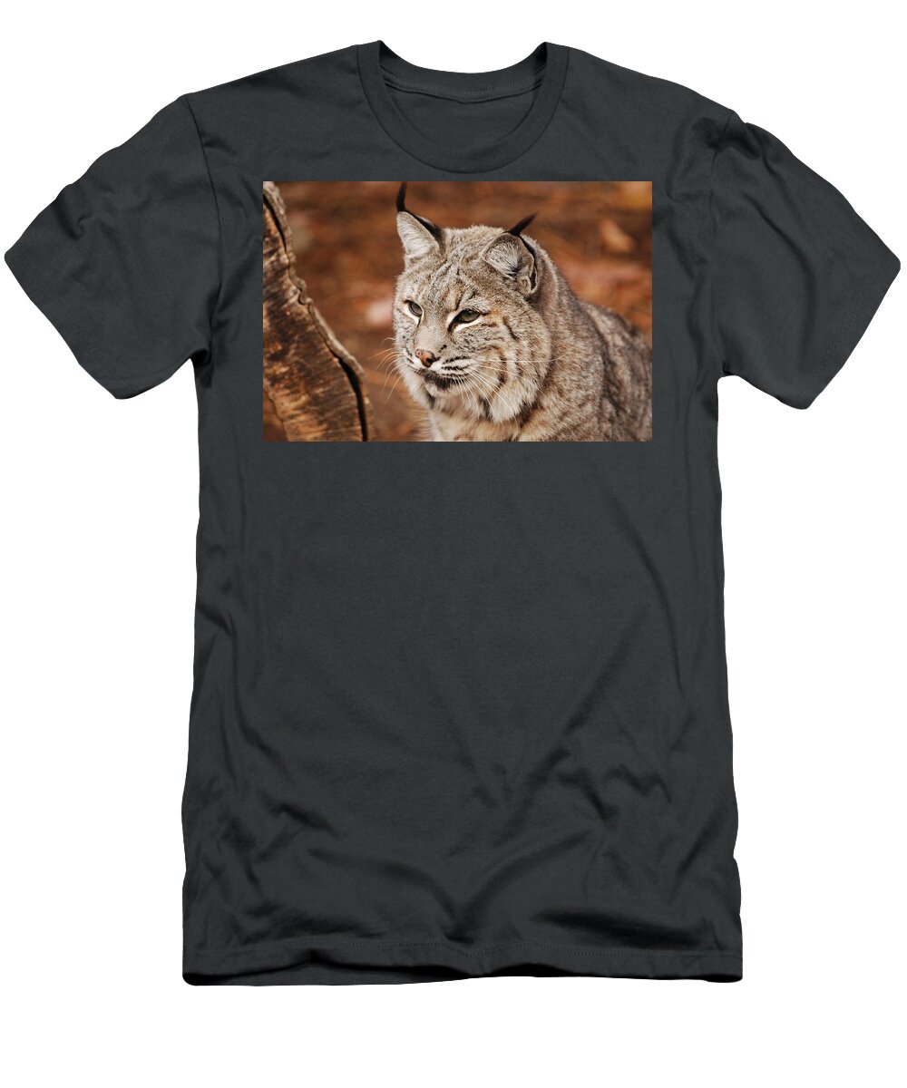 Bobcat T-Shirt featuring the photograph God I'm Handsome by Lori Tambakis