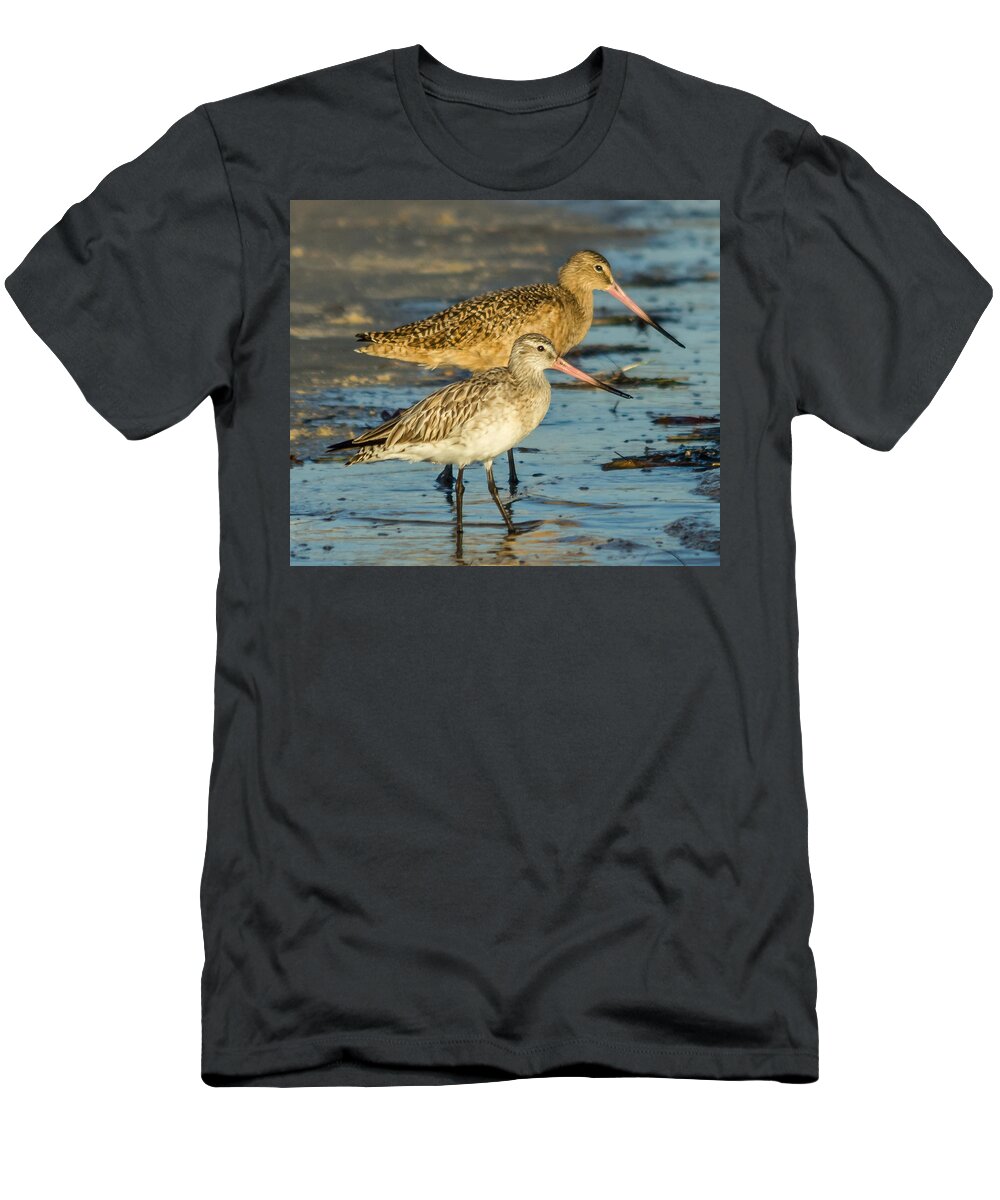 Bar-tailed Godwit T-Shirt featuring the photograph Godwits by Jane Luxton