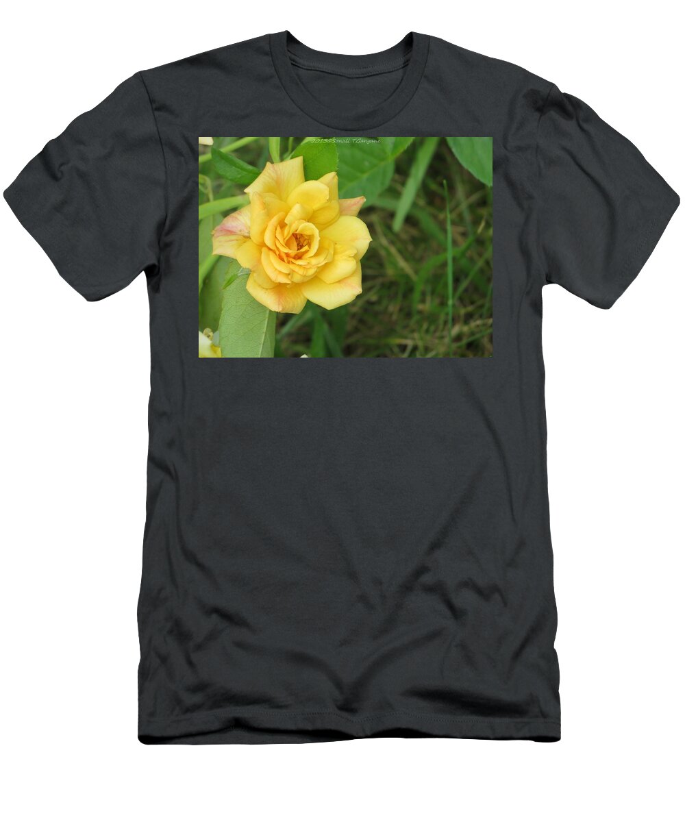 Yellow Rose T-Shirt featuring the photograph Golden Friendship by Sonali Gangane