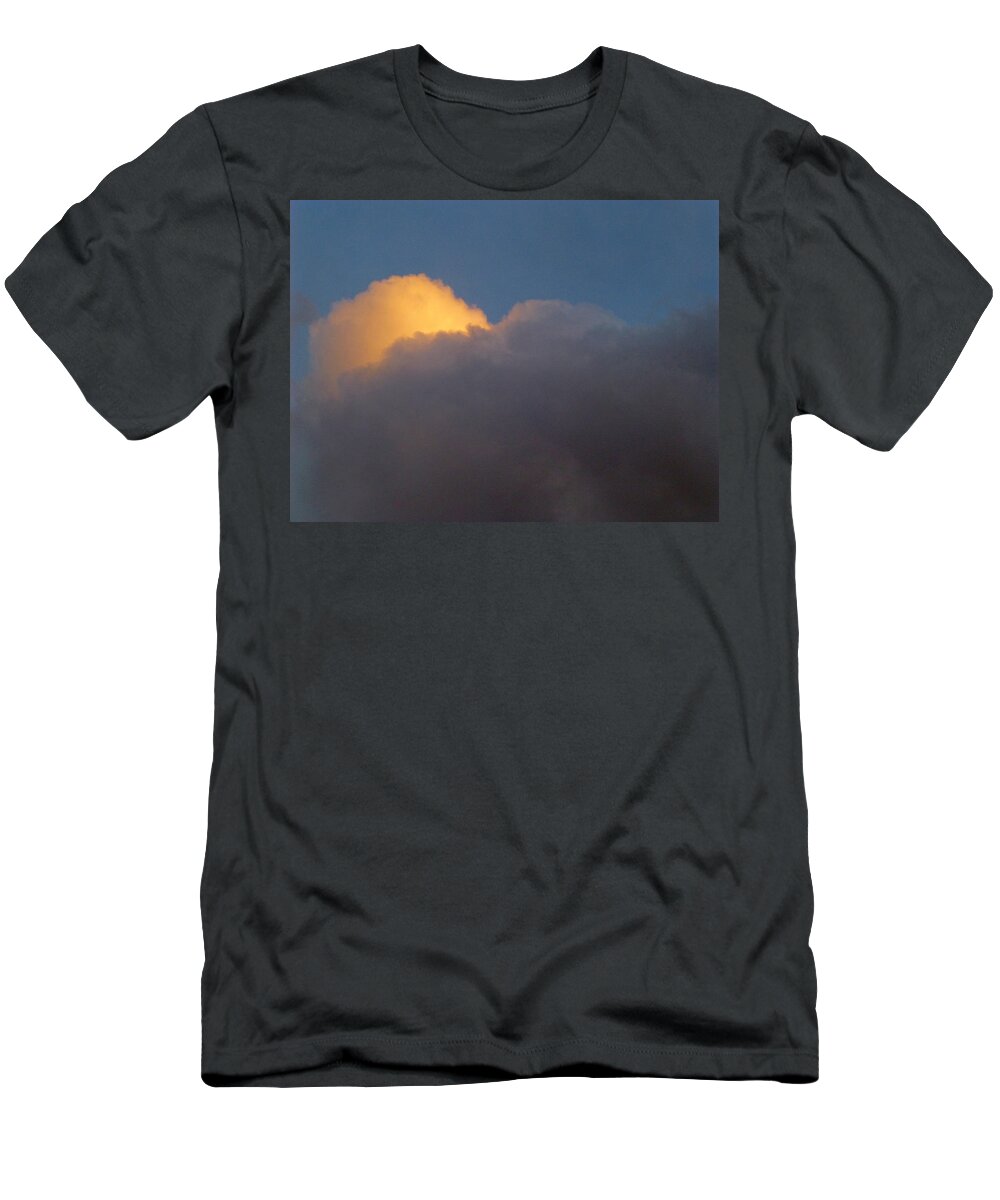 Southwest T-Shirt featuring the photograph Golden Ratio by Claudia Goodell