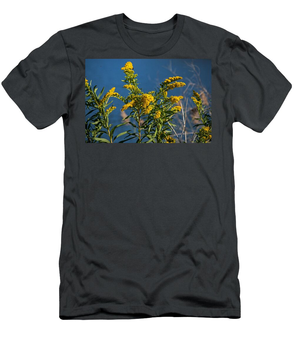 Golden Rods T-Shirt featuring the photograph Golden Rods at Northside Park by Bill Swartwout