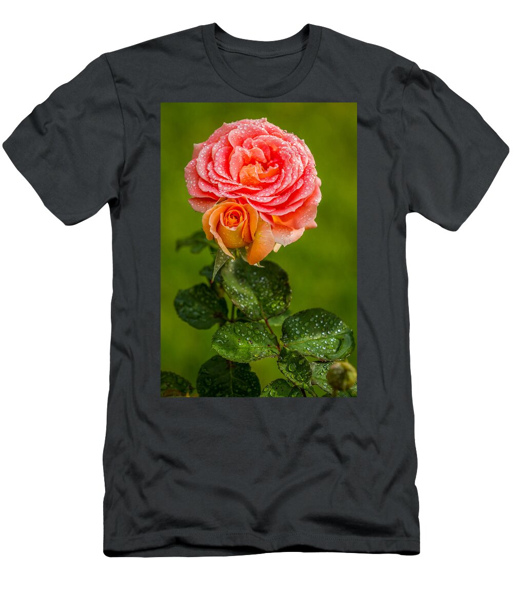 Rose T-Shirt featuring the photograph Good Morning Beautiful by Ken Stanback