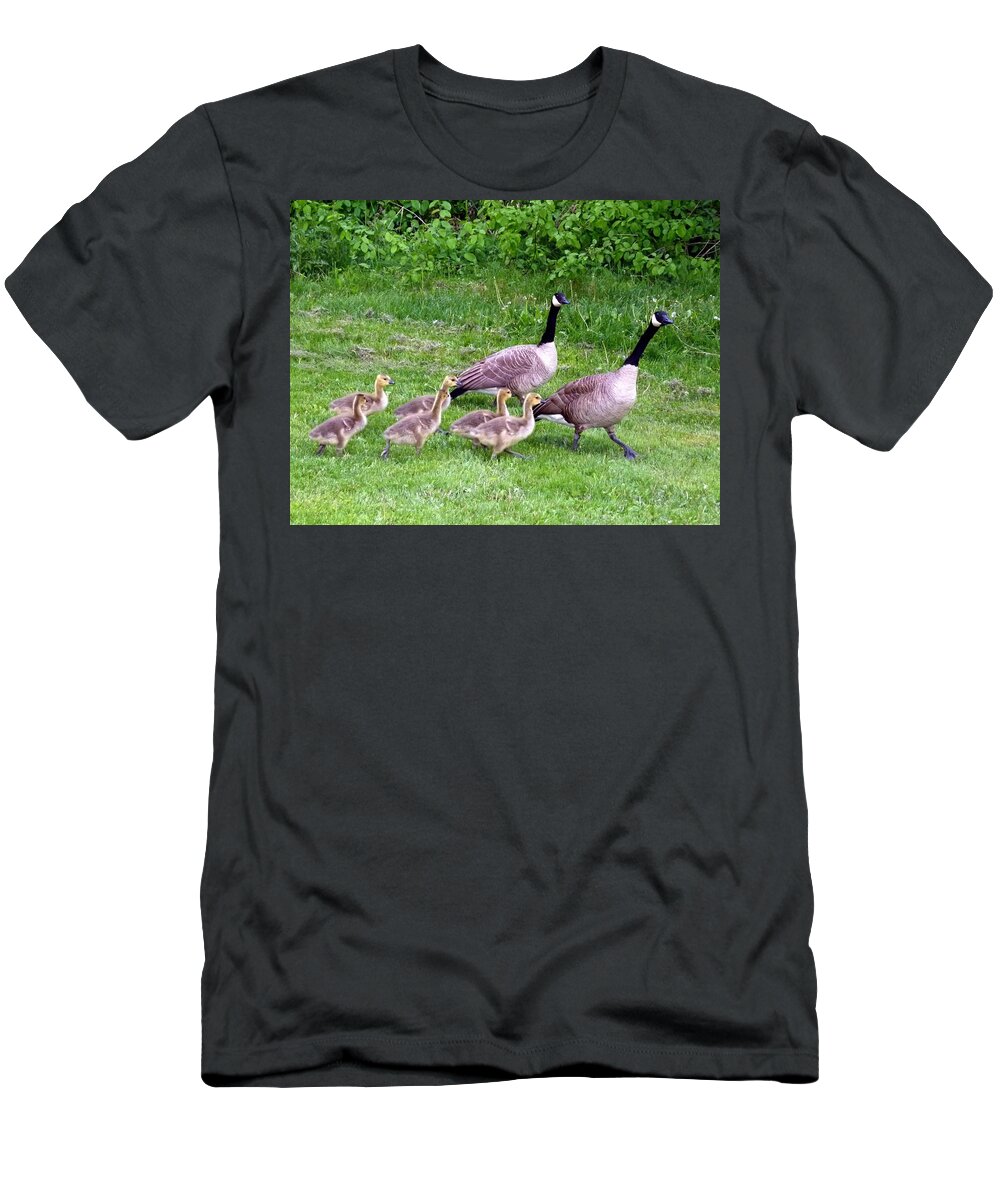 Canada Geese T-Shirt featuring the photograph Goose Step by Will Borden