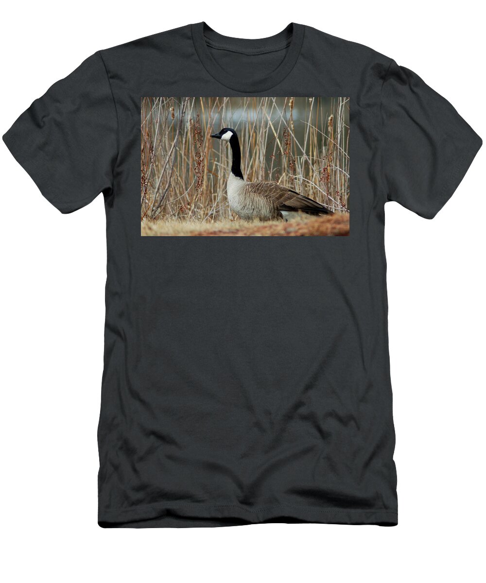 Dakota T-Shirt featuring the photograph Goosed by Greni Graph
