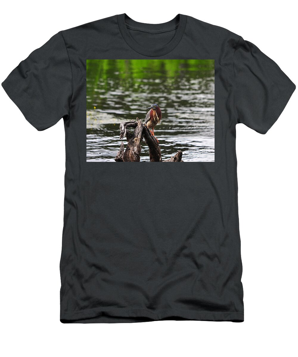 Heron T-Shirt featuring the photograph Gorgeous Green Heron by Al Powell Photography USA