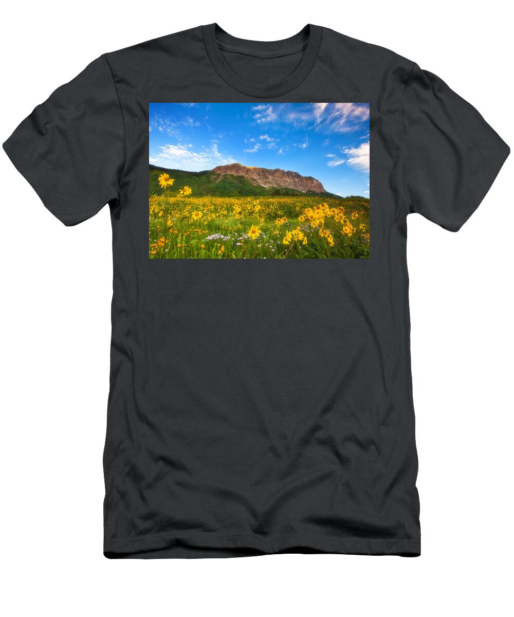 Colorado Landscapes T-Shirt featuring the photograph Gothic Meadow by Darren White