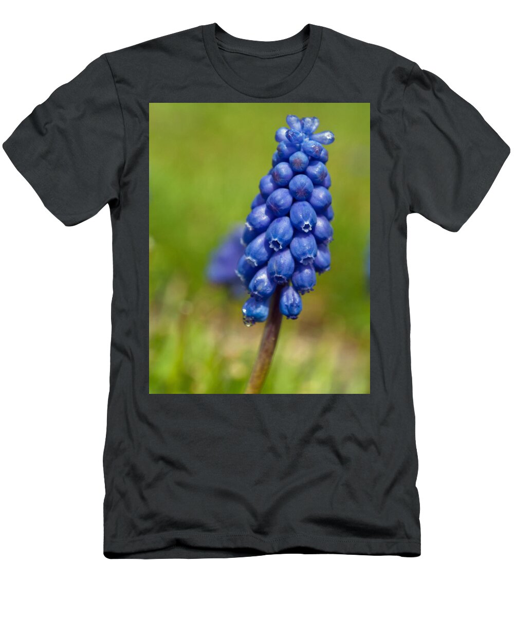 Purple T-Shirt featuring the photograph Grape Hyacinth by Tikvah's Hope