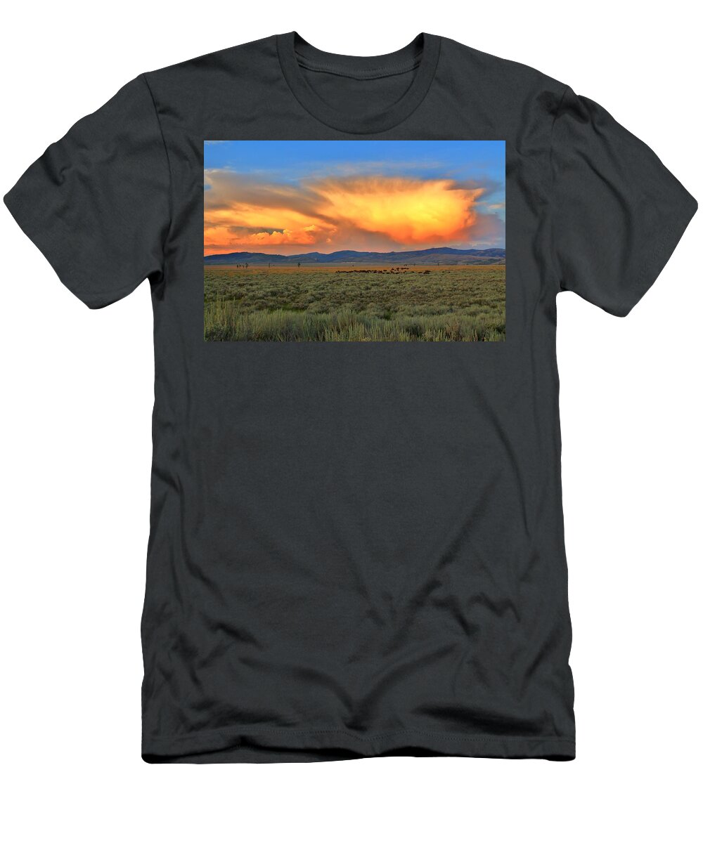 Mountains T-Shirt featuring the photograph Grazing Under the Clouds by Catie Canetti