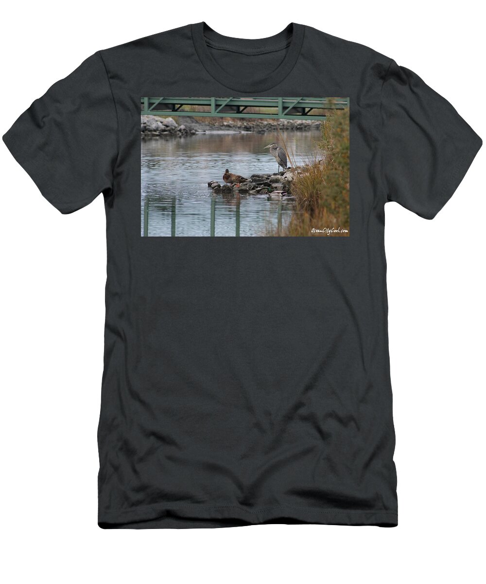 Great Blue Heron T-Shirt featuring the photograph Great Blue Heron and Friends by Robert Banach