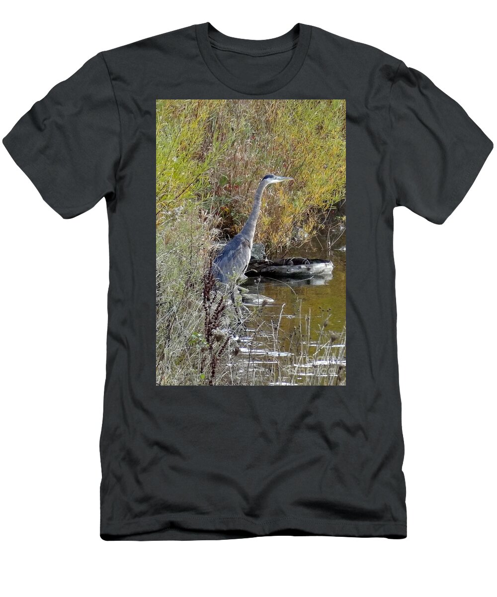 Great Blue Heron T-Shirt featuring the photograph Great Blue Heron - Juvenile by Laurel Best