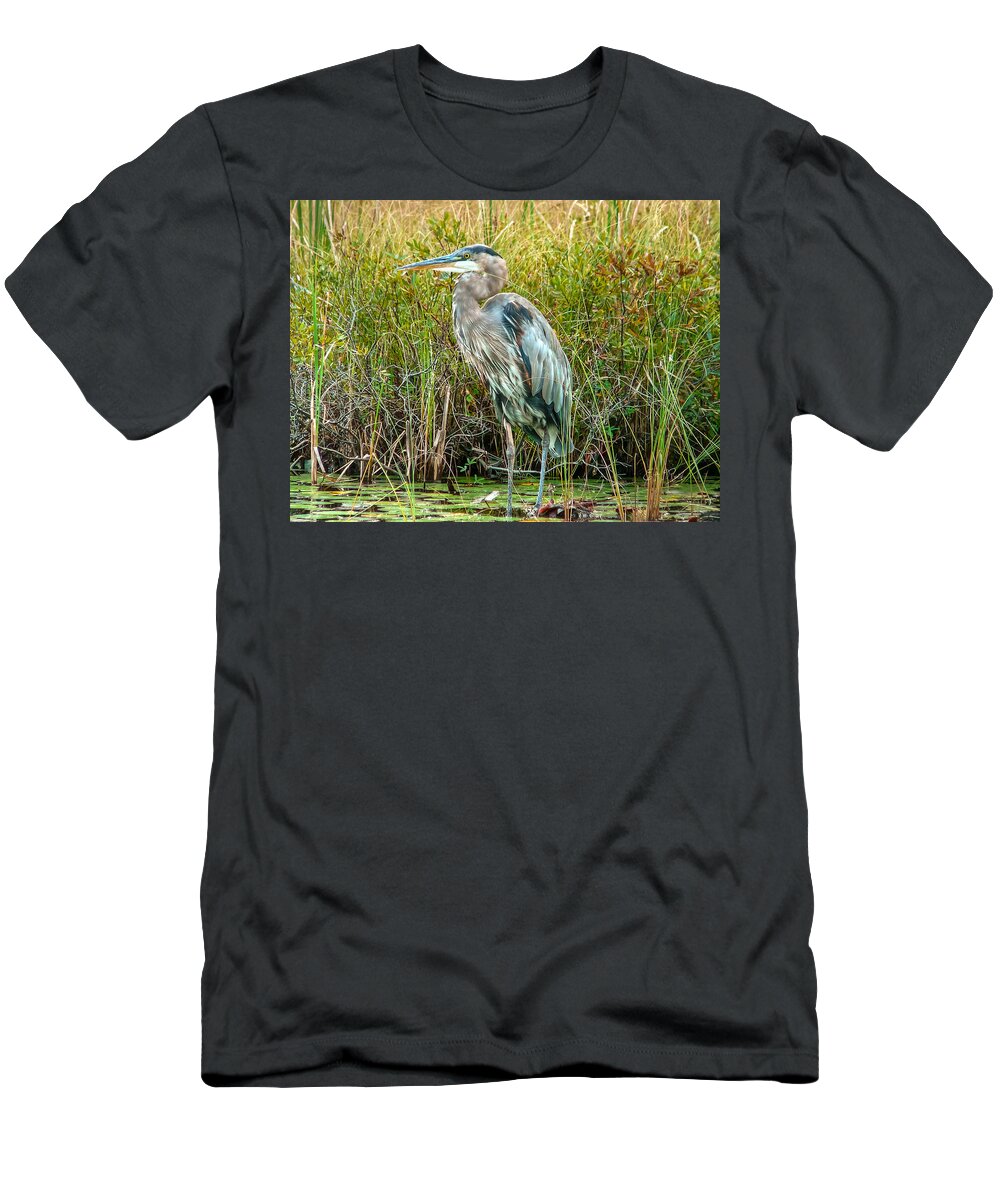 Heron T-Shirt featuring the photograph Great blue heron waiting for supper by Eti Reid