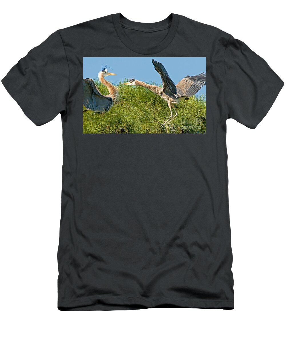 Great Blue Heron T-Shirt featuring the photograph Great Blue Herons by Millard H. Sharp