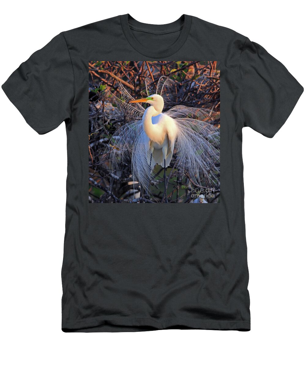Great Egret T-Shirt featuring the photograph Great Egret Display by Larry Nieland