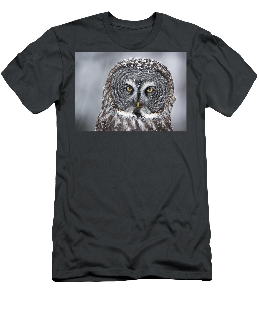 Nis T-Shirt featuring the photograph Great Gray Owl Scowl Minnesota by Benjamin Olson