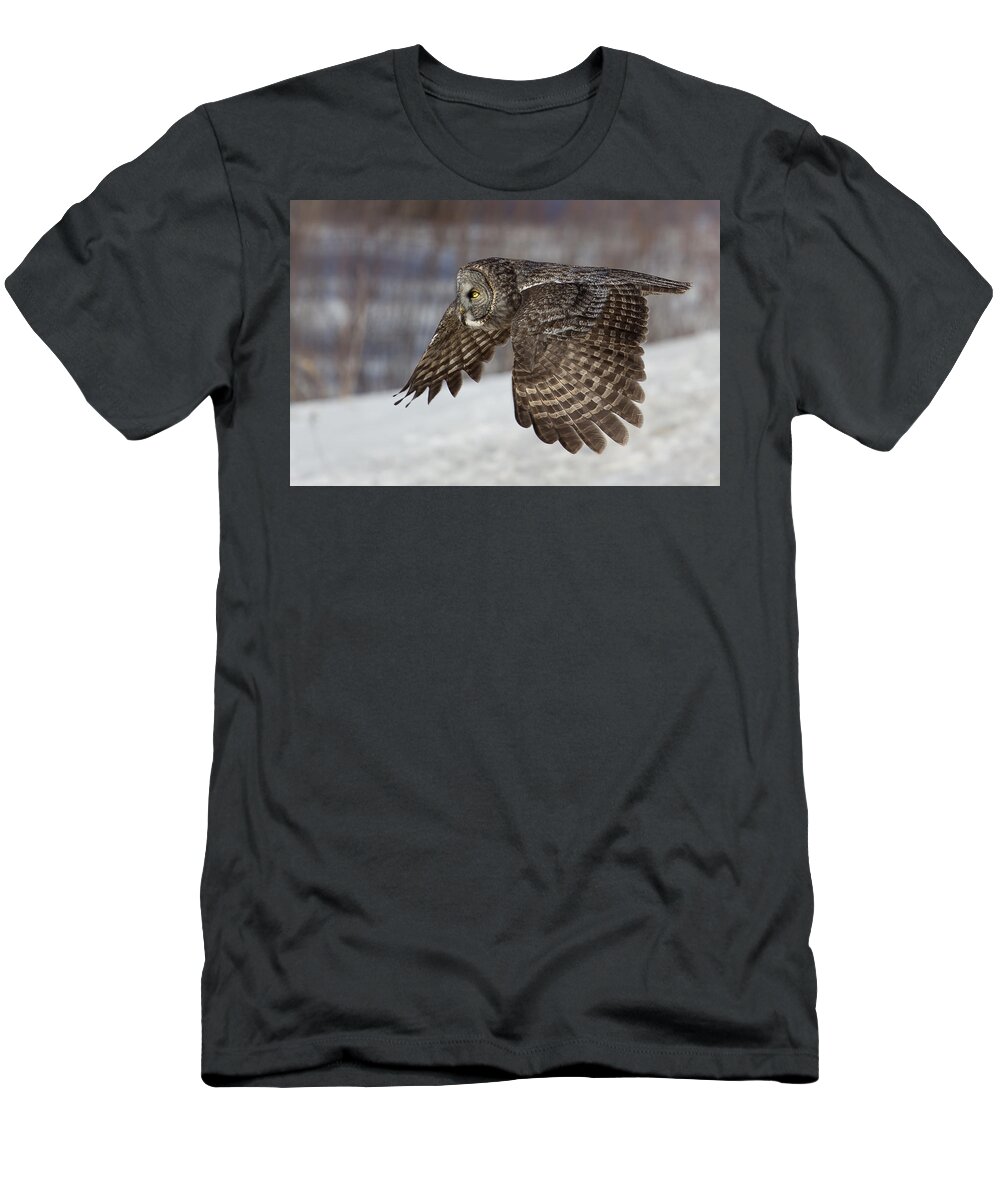 Animal T-Shirt featuring the photograph Great Grey Owl in Flight by Jakub Sisak