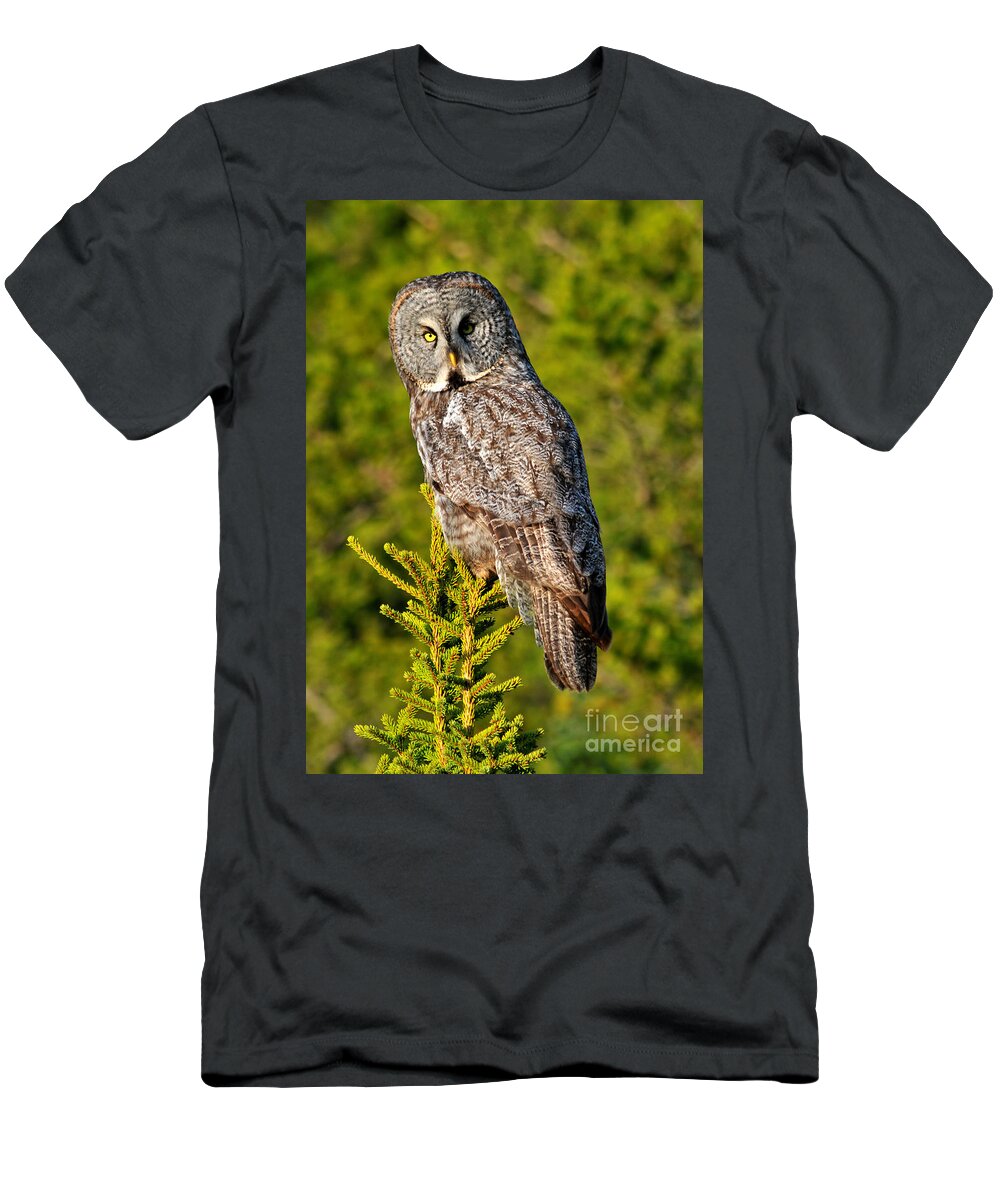 Great Grey Owl T-Shirt featuring the photograph Great Grey Owl by Vivian Christopher