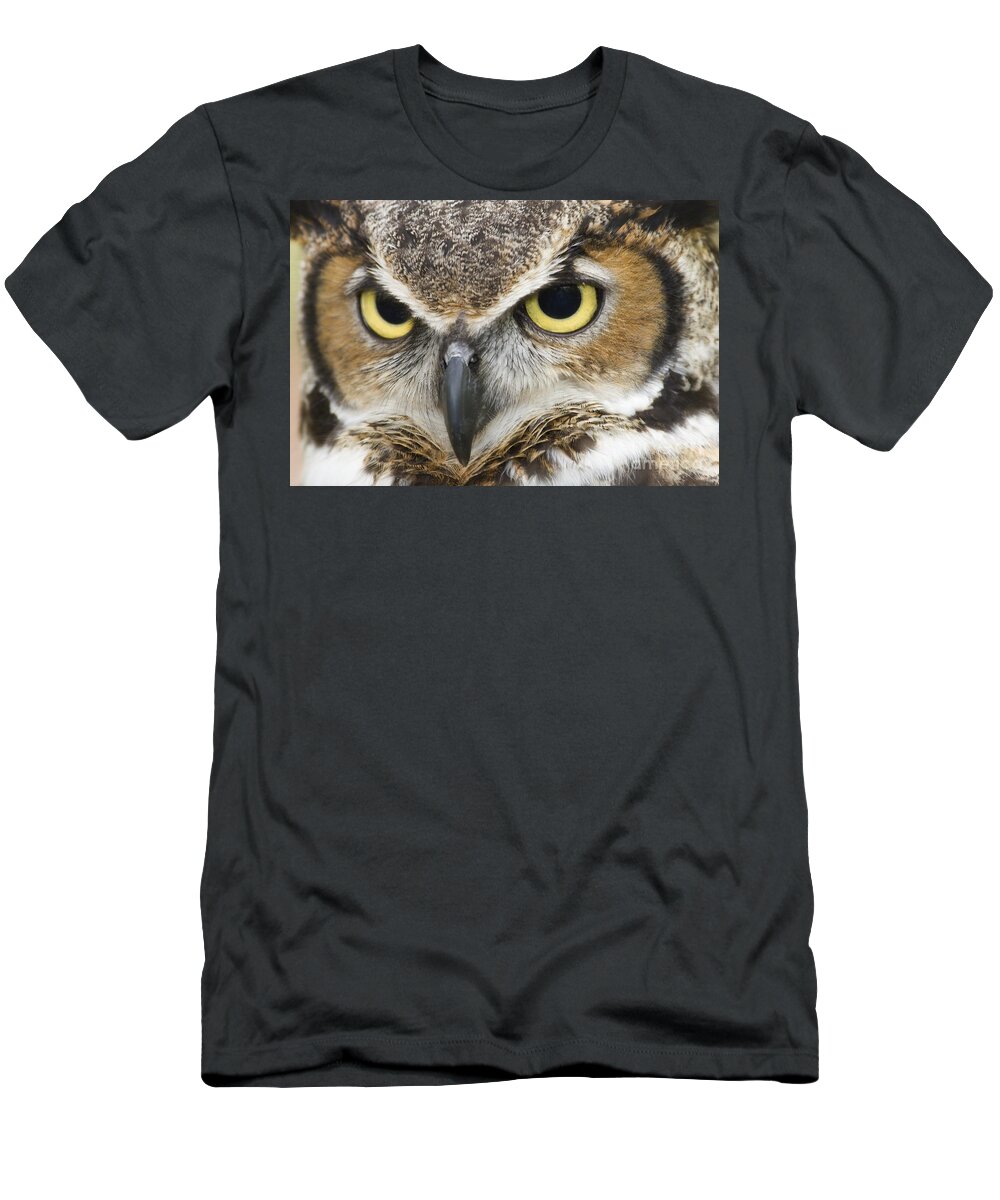 Great Horned Owls T-Shirt featuring the photograph Great Horned Owl by Jill Lang