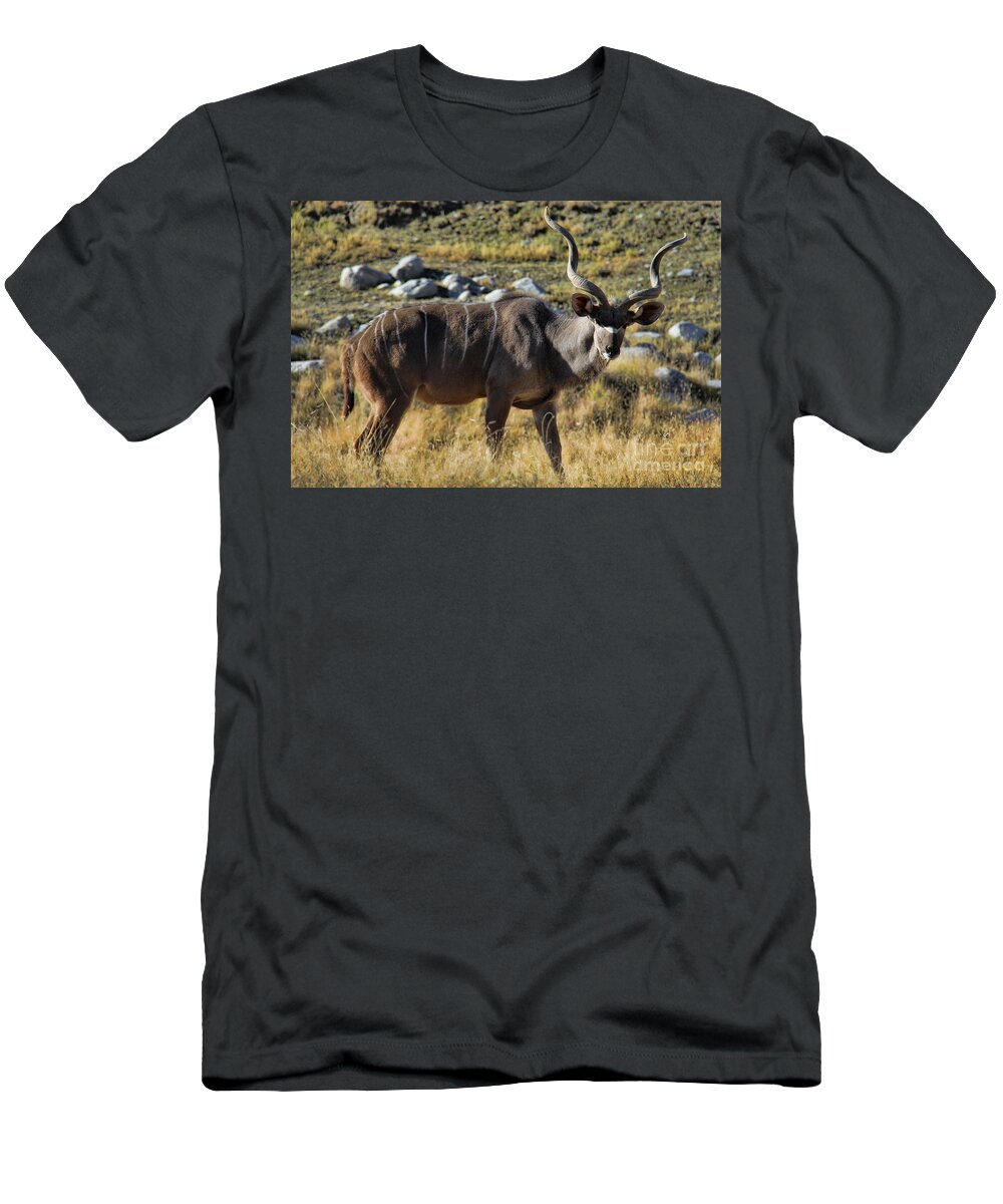 Greater Kudu Grazing T-Shirt featuring the photograph Greater Kudu Grazing by Mariola Bitner