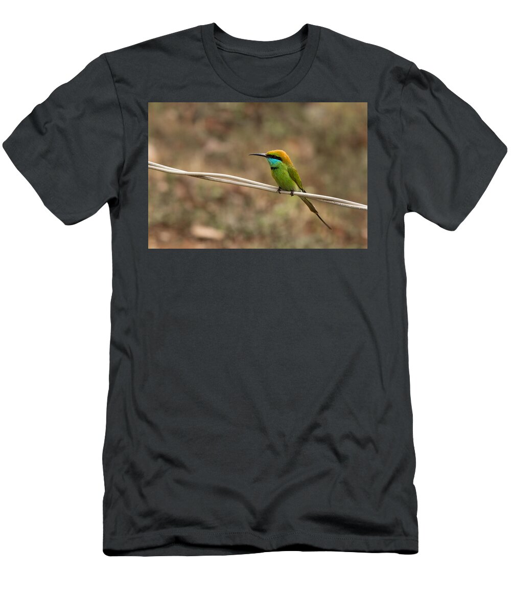 Green Bee-eater T-Shirt featuring the photograph Green Bee-eater by SAURAVphoto Online Store