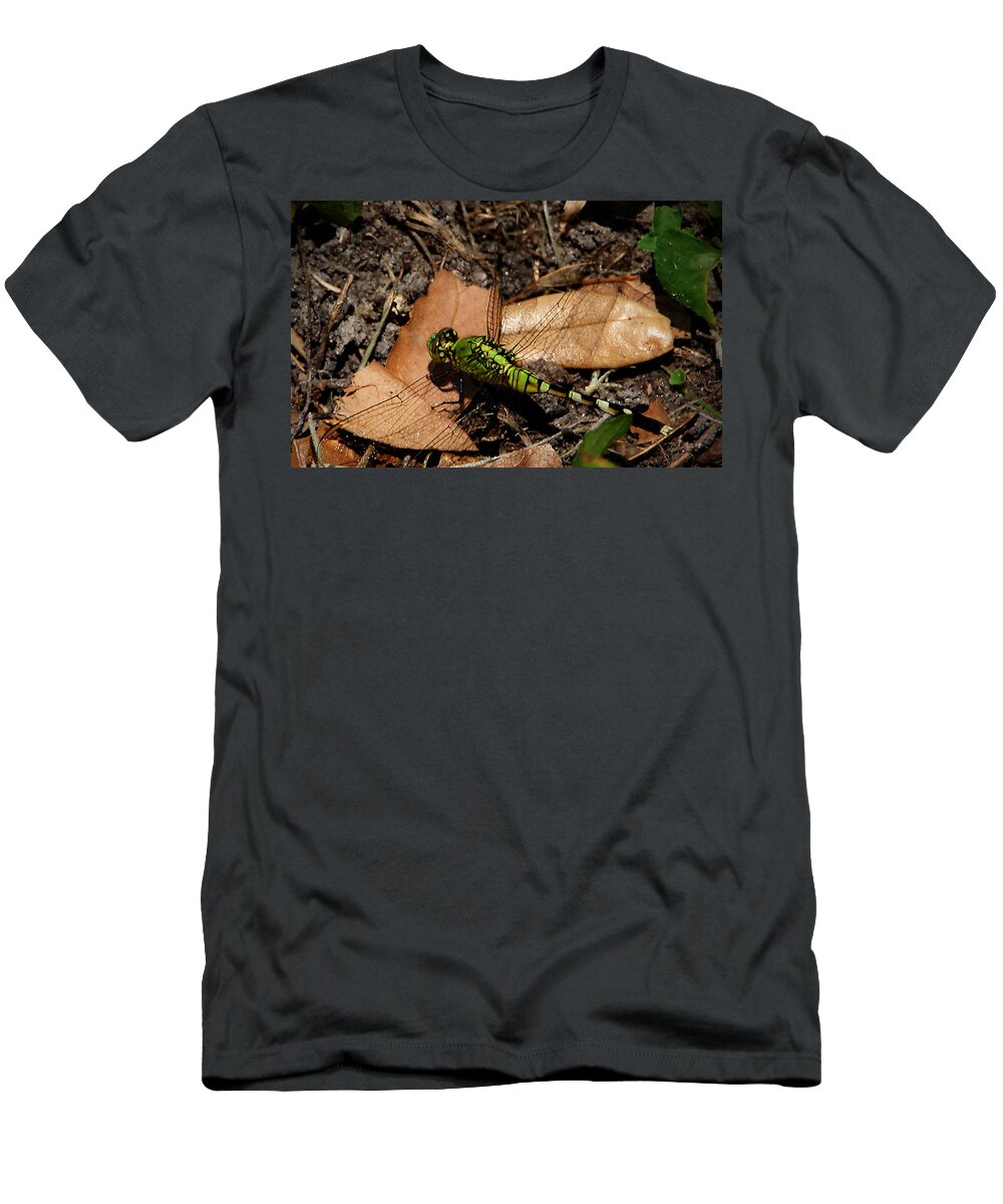 Dragonfly T-Shirt featuring the photograph Green Dragonfly by Chauncy Holmes