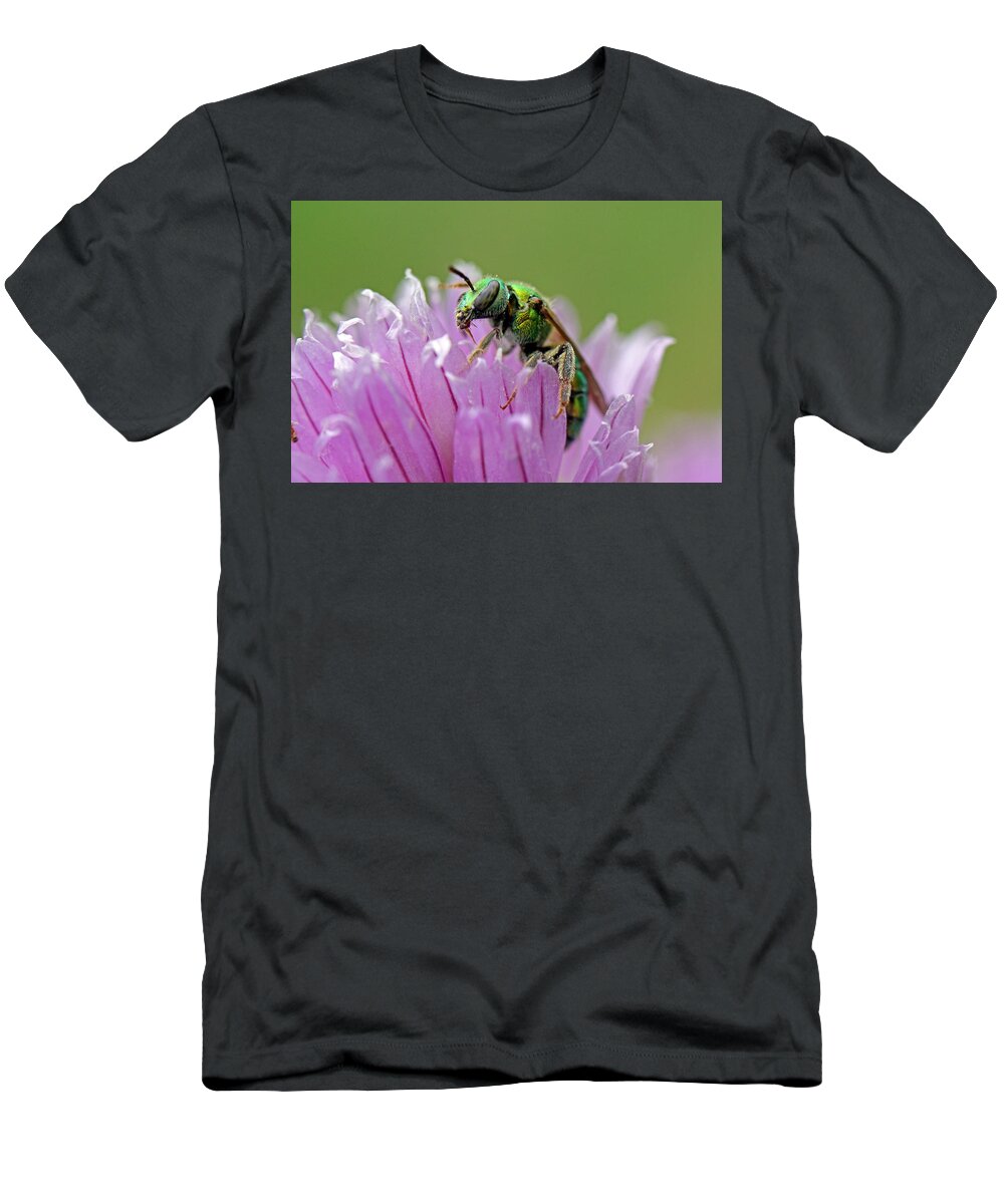 Insects T-Shirt featuring the photograph Green Envy by Jennifer Robin