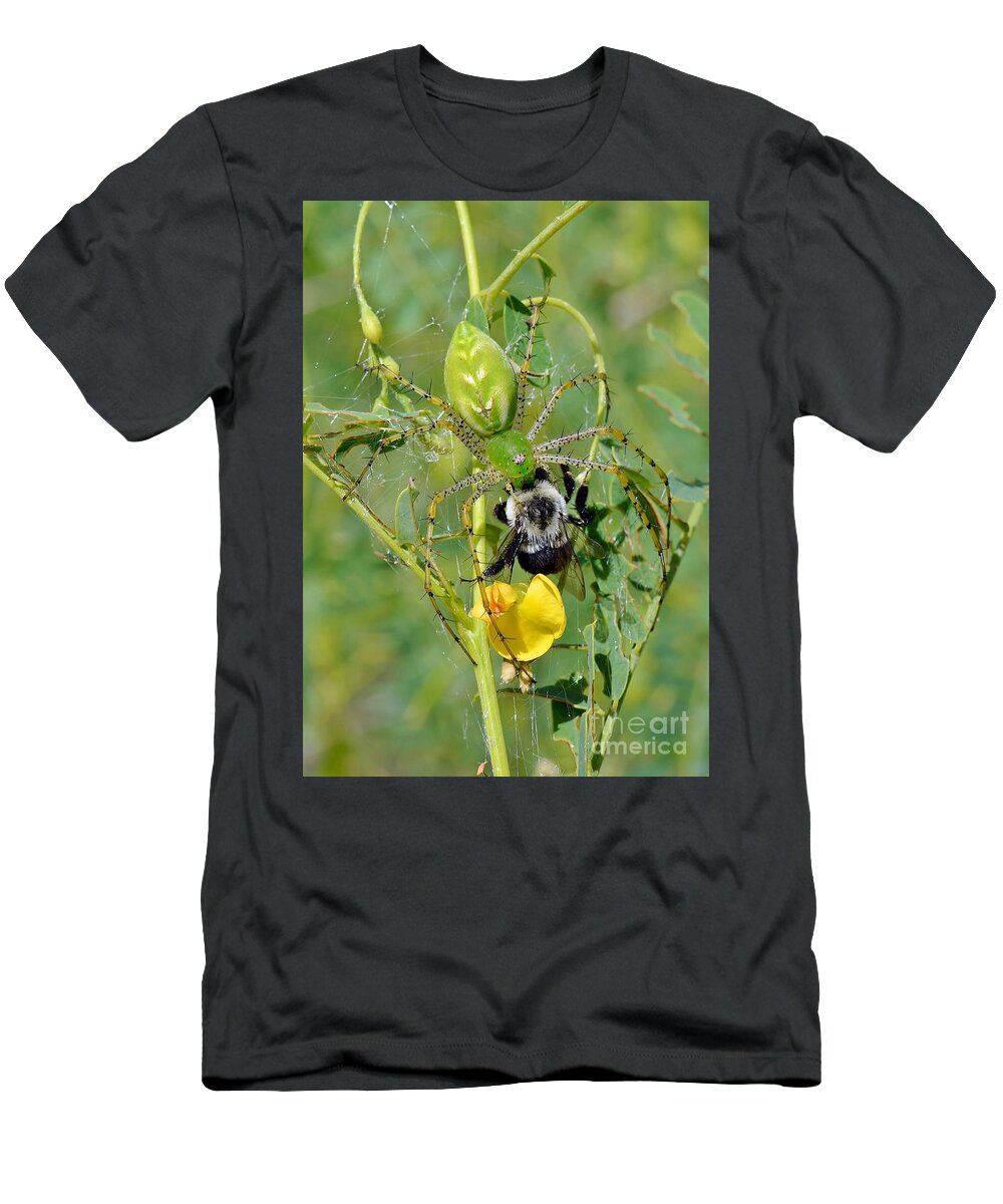 Spider T-Shirt featuring the photograph Green Lynx Spider With Prey by Kathy Baccari
